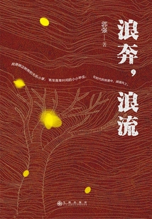 浪奔，浪流