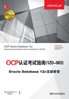 OCP认证考试指南(1ZO-063) Oracle Database 12c高级管理