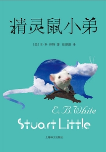精靈鼠小弟