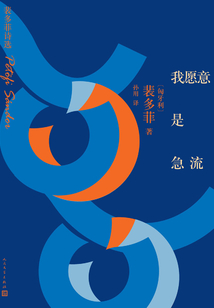 我愿意是急流:裴多菲詩(shī)選