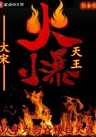 大宋火爆天王在线阅读