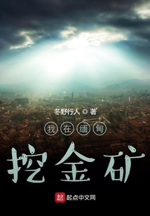 我在緬甸挖金礦