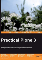 Practical Plone 3: A Beginner's Guide to Building Powerful Websites