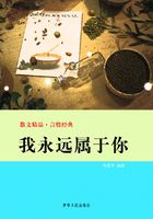 我永远属于你（散文精品·言情经典）在线阅读