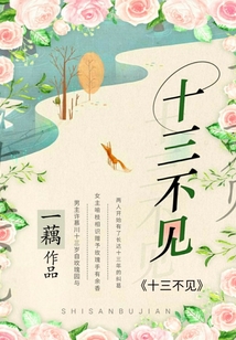 十三不見