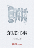 東坡往事在線閱讀