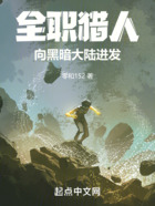全职猎人:向黑暗大陆进发