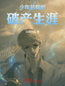 少年總裁的破產生涯