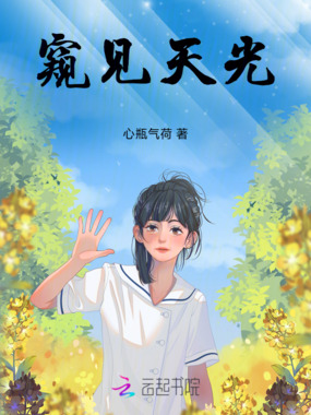 窥见天光在线阅读