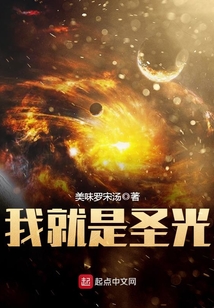我就是圣光