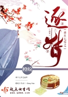 重生七零之逐夢在線閱讀