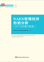 NAES宏观经济形势分析（2015年第3季度）