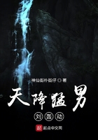 天降猛男劉轟動在線閱讀