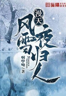 漫天风雪夜归人