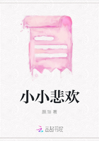 小小悲欢在线阅读