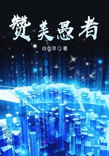 贊美愚者