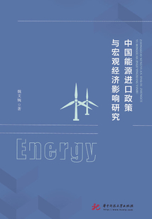 中國(guó)能源進(jìn)口政策與宏觀經(jīng)濟(jì)影響研究