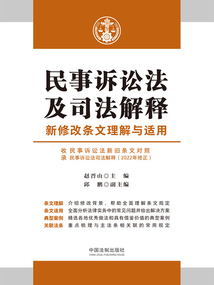 民事訴訟法及司法解釋新修改條文理解與適用