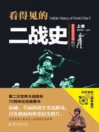 看得见的二战史(上卷)在线阅读