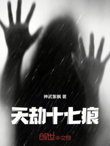 天劫十七痕
