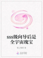 sss级向导后是全宇宙瑰宝在线阅读