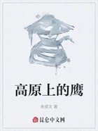 高原上的鹰在线阅读