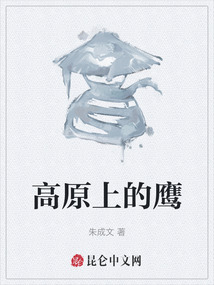 高原上的鷹