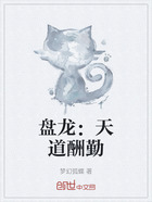 盘龙:天道酬勤在线阅读