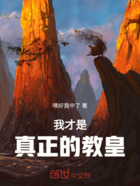 我才是真正的教皇！在线阅读