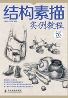 结构素描实例教程