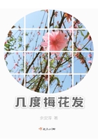 几度梅花发