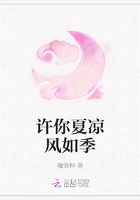 許你夏涼風如季在線閱讀