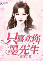 我只喜歡你墨先生在線閱讀