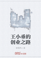 王小垂的創業之路在線閱讀