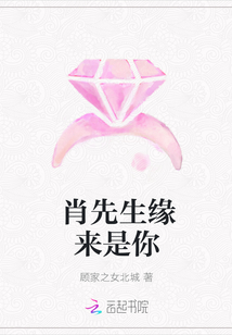 肖先生緣來是你