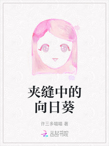 夾縫中的向日葵