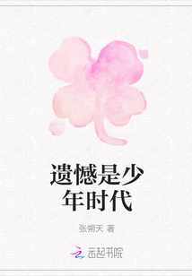 遺憾是少年時代