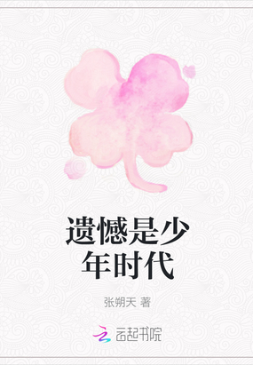 遗憾是少年时代在线阅读