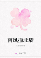 南風撞北墻在線閱讀