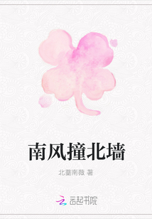 南風(fēng)撞北墻
