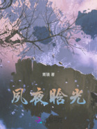 夙夜晗光在线阅读