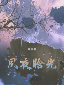 夙夜晗光