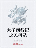 大圣西行记之天机录在线阅读