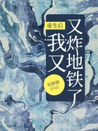 重生后我又炸地铁了在线阅读