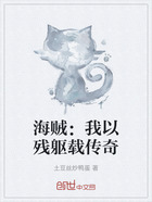 海贼:我以残躯载传奇在线阅读