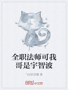 全职法师可我哥是宇智波在线阅读