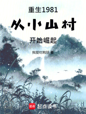 重生1981，从小山村开始崛起在线阅读