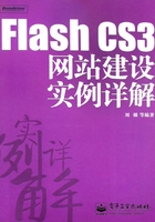 Flash CS3网站建设实例详解在线阅读