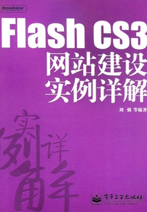 Flash CS3網站建設實例詳解