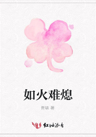 如火难熄